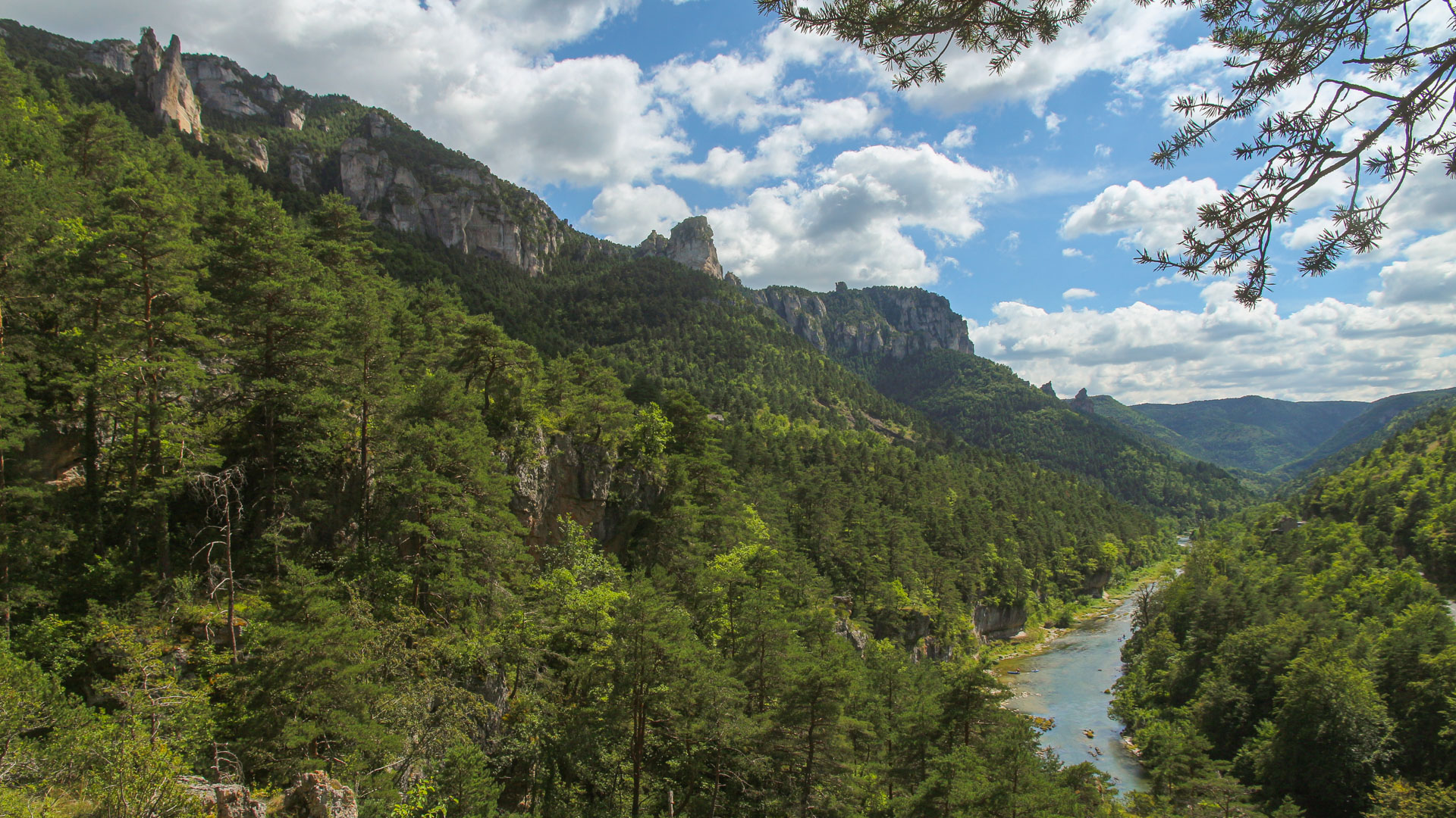 Descente des gorges du Tarn